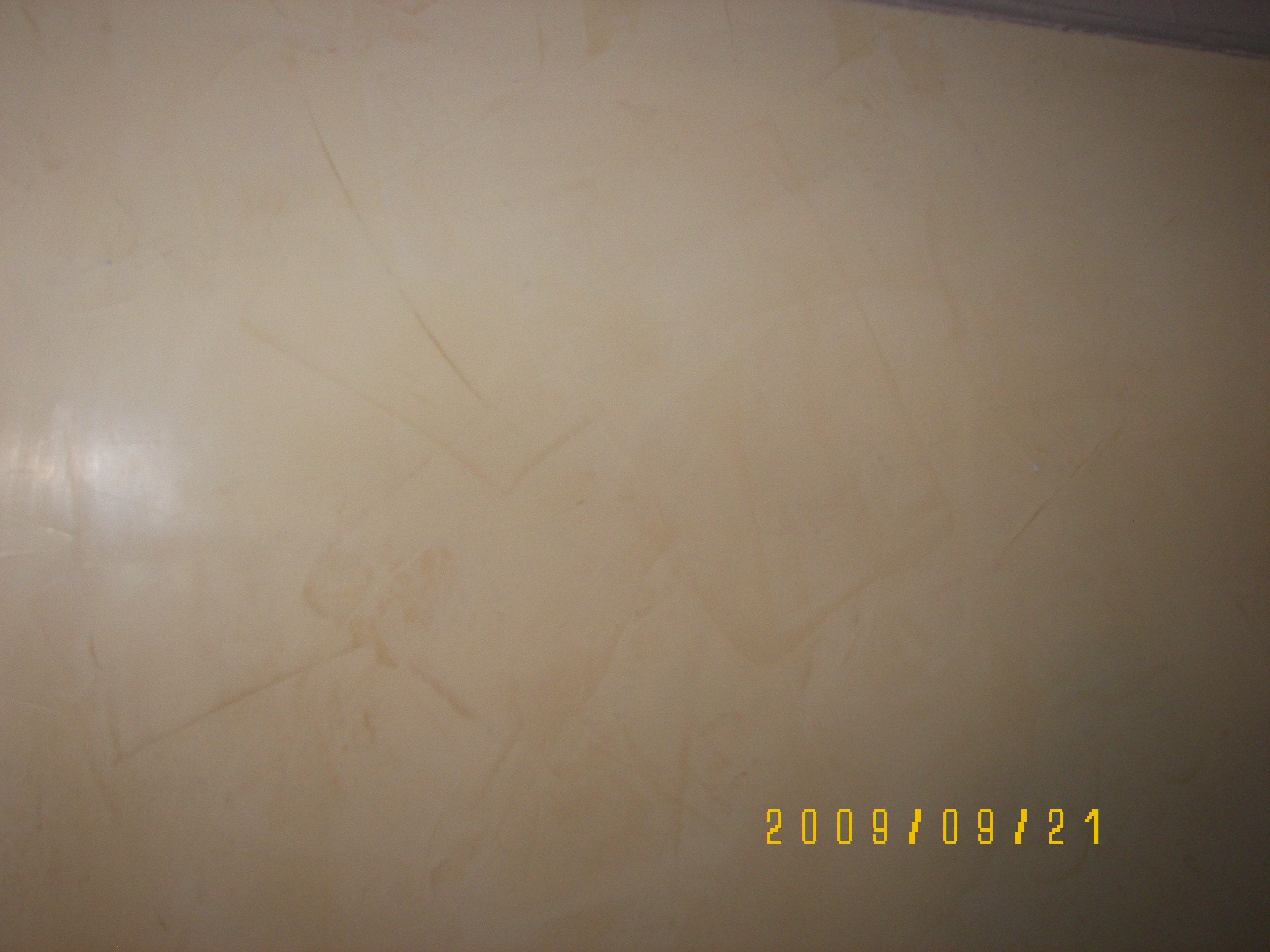 fau finish,murals,artwork,art,artist,custom painting,paint,painter