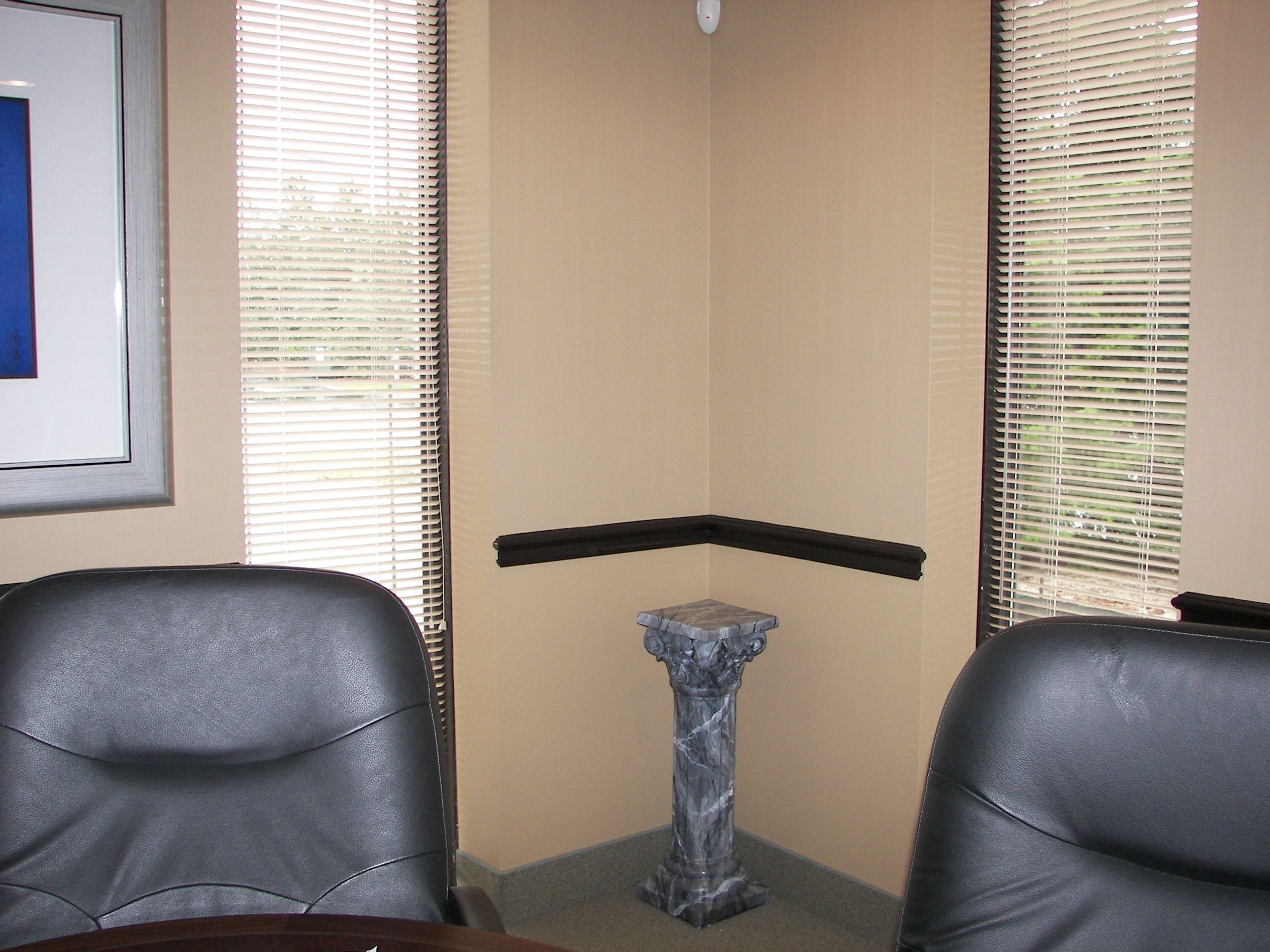 fau finish,murals,artwork,art,artist,custom painting,paint,painter