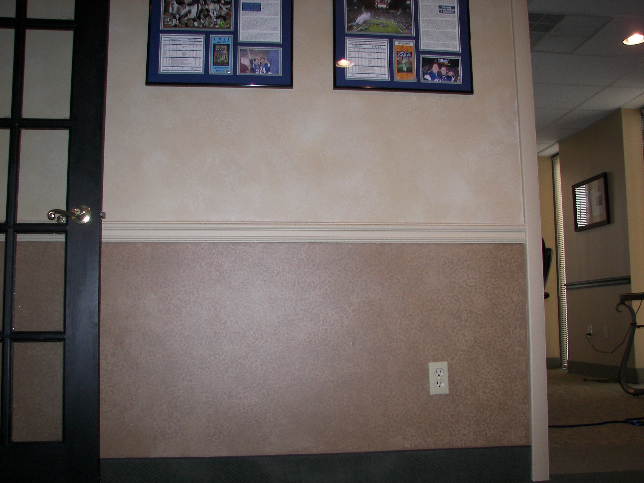 fau finish,murals,artwork,art,artist,custom painting,paint,painter