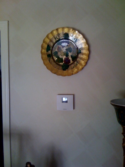 fau finish,murals,artwork,art,artist,custom painting,paint,painter